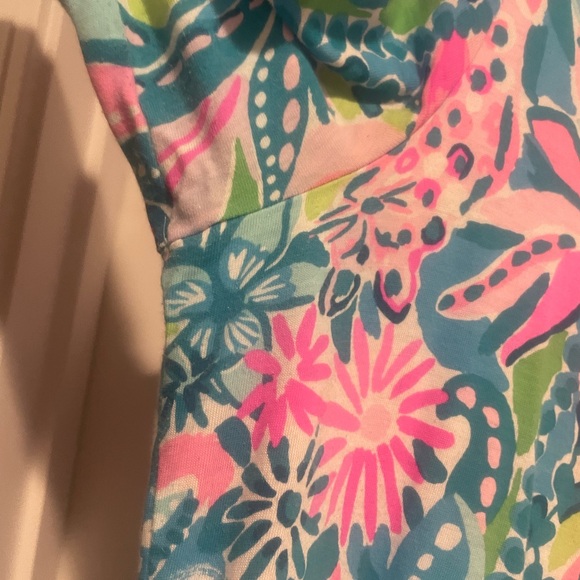 EUC Lilly Pulitzer Dress, L - Picture 2 of 6